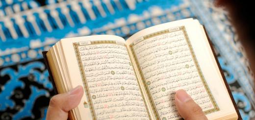 Leer suras y versos del Corán para todos los días.