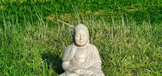 Budismo Zen: ideas básicas filosofía koans principios psicoanálisis leer libros ¿Cuál es la definición Zen en el uso moderno?
