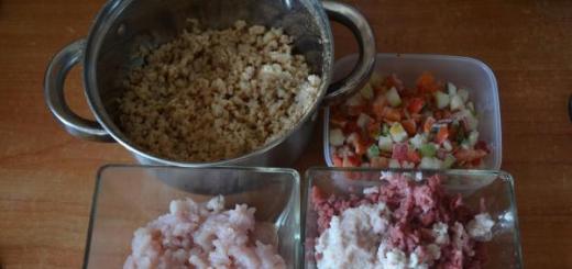 Chuletas de soja: chuletas magras sencillas y deliciosas Cómo hacer chuletas de soja